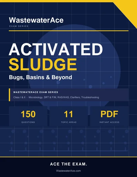 Activated Sludge: Bugs, Basins & Beyond